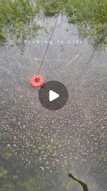 Fishing is Life on Instagram: "clever fishing Idea #fish #reels #fishing" Summer Fishing Aesthetic, Beach Fishing Aesthetic, Fishing Hacks, Farmers Almanac, Fishing Box, Fishing Rods And Reels, Hobo Fishing Reel, Funny Fishing Memes, Lovers And Friends