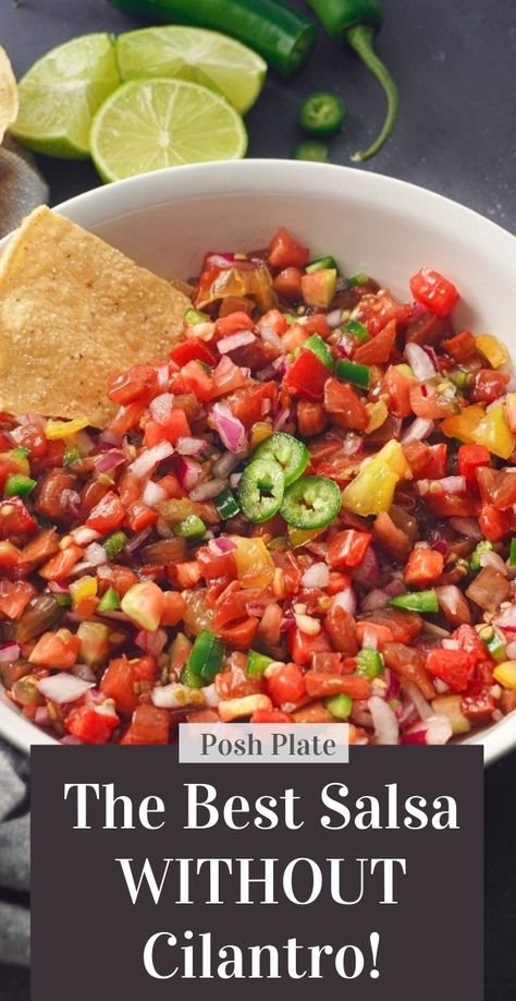 Picodegallo Salsa, Watermelon Salsa Recipe, The Best Appetizers, Layered Bean Dip, Fresh Salsa Recipe, Magical Stuff, Salmon With Avocado Salsa, The Food Charlatan, Mexican Salsa