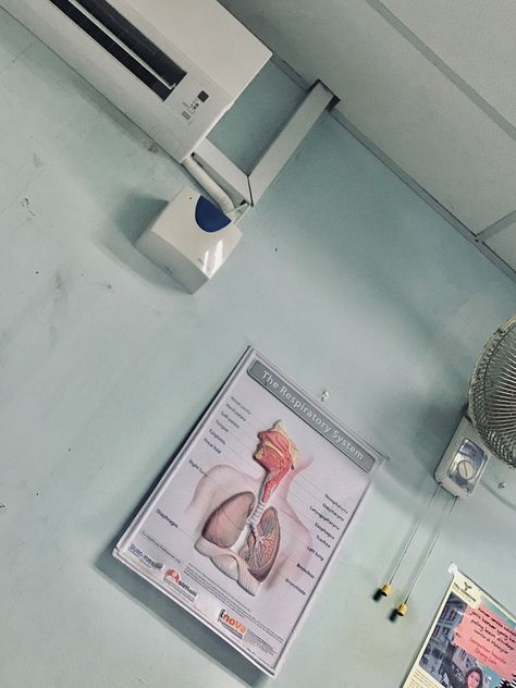 #medic #clinic #aesthetic #illness #lungs #aircooled #blue #green #learning #school #patient #education #wall #awareness Medical Clinic Aesthetic, Lungs Aesthetic, Clinic Aesthetic, Theatre Performance, Patient Education, Lungs, Monopoly Deal, Blue Green, Medical