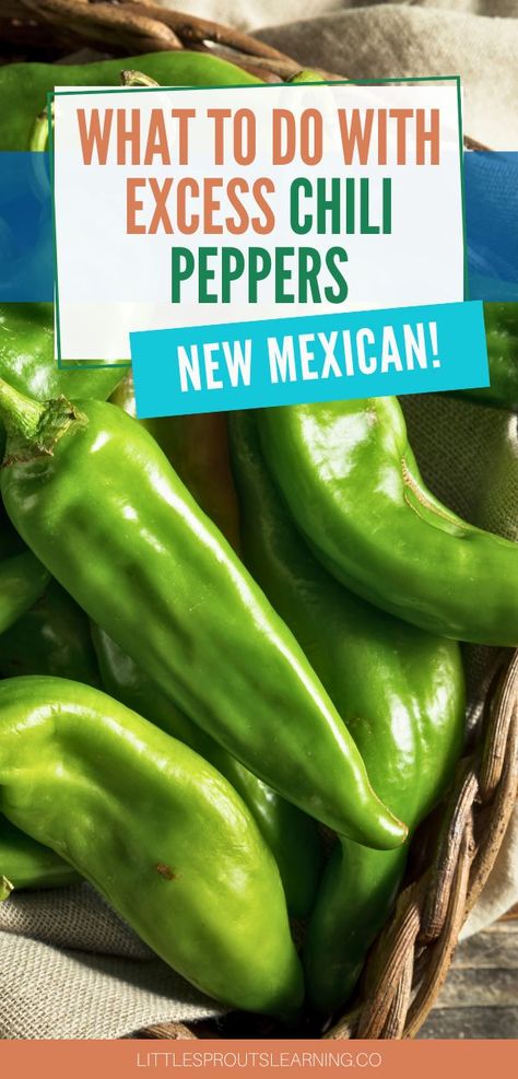 What To Do With Chili Peppers, What To Do With Hot Peppers From Garden, What To Do With Peppers From The Garden, Sweet Heat, New Mexican, Chilli Pepper, Food Preservation, Peppers Recipes, Tasty Bites