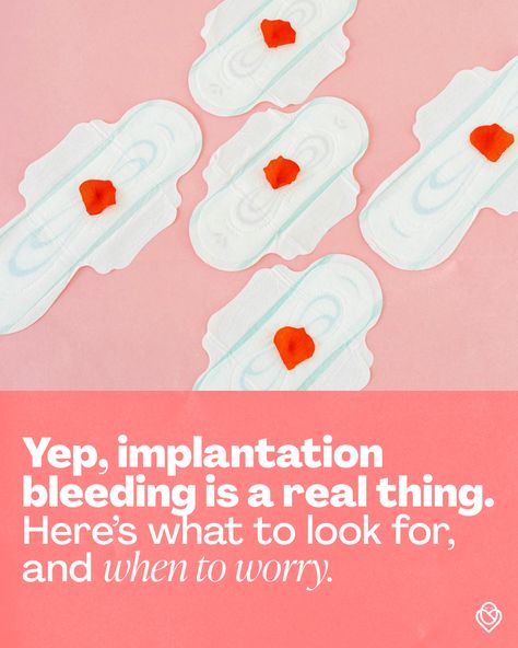 Unexplained spotting or bleeding between periods?
 
If you're trying to conceive, this could seem alarming, but could actually mean that you're on your way to seeing that positive pregnancy test!
 
Everything you need to know about implantation bleeding can be found when you visit our website! Implantation Bleed Vs Period, Super Early Pregnancy Signs, Spotting Between Periods, Pregnant Sleep, Early Pregnancy Signs, Nutrition Activities, Positive Pregnancy Test, Communication Relationship