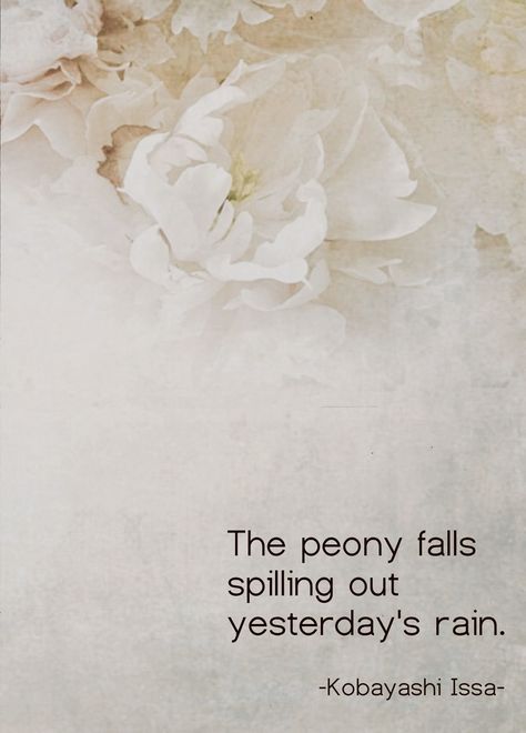 The peony falls spilling out yesterday’s rain - Kobayashi Issa Peony Quotes, Asian Poetry, Kobayashi Issa, Mystical Quotes, Rain Beauty, Flower Poem, Shine Quotes, Japanese Haiku, Japanese Poetry