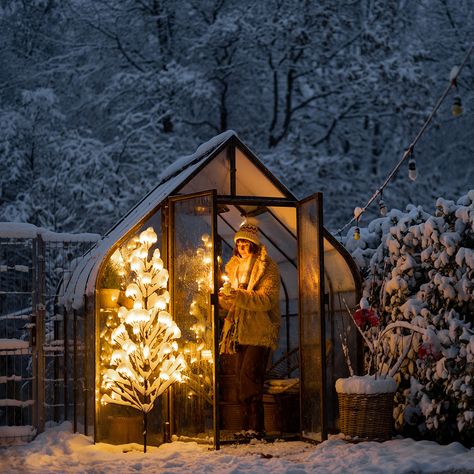 Greenhouse In Winter, Cozy Sunroom, Garden Winter, Winter Greenhouse, In Her Garden, Twinkly Lights, Winter Light, Heirloom Seeds, Winter Night