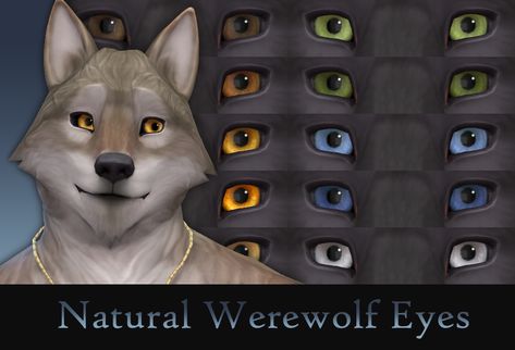 Sims 4 Werewolf Cc, Sims 4 Werewolf, Werewolf Eyes, Sims 4 Cc Eyes, Cc Folder, The Sims 4 Skin, The Sims 4 Packs, Sims 4 Mm Cc, Sims 4 Body Mods