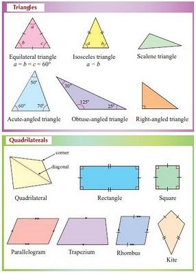 Math Key Words, Quadrilaterals Worksheet, Angles Math, Area Worksheets, Geometry Formulas, Geometric Shapes Drawing, Regular Polygon, Teaching Geometry, Shape Chart