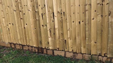 A HOMEOWNER has been left fuming after he erected a fence to give himself a little privacy from the neighbours only to discover they had sabotaged it. Taking to Reddit the man explained that he had encountered some issues with the neighbours when they initially put up the fence, who argued it went into their […] How To Extend Fence Height For Privacy, Plants To Hide Fence, Adding Height To Fence, Extended Fence Height, No Dig Fence, Good Neighbor Fence, Nosey Neighbors, Diy Privacy Fence, Bad Neighbors