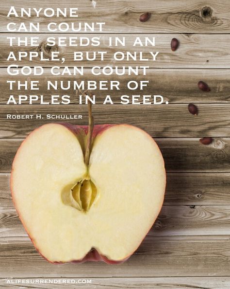 Apple Quotes Inspirational, Maudy Thursday, Seed Quotes, Apple Quotes, Apple Bar, Apple Bars, Jesus Loves Us, Grasshoppers, Footprint Art