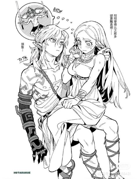 Zelink Fanart Spicy, Monster X Human Ship Dynamic, Link X Zelda, Zelda Funny, Zelda And Link, Link And Zelda, Zelda Botw, Legends Of Zelda, Tears Of The Kingdom