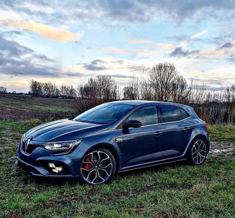 Renault Megane Rs, Hot Hatchback, Clio Rs, Renault Sport, Renault Alpine, Sci Fi Ships, Bugatti Cars, Euro Cars, Hot Hatch