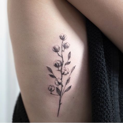 Cotton Flower Tattoo, Simplistic Tattoo Minimalist, Cotton Tattoo, Bean Tattoo, Simplistic Tattoo, Branch Tattoo, Tattoo Minimalist, Vine Tattoos, Plant Tattoo