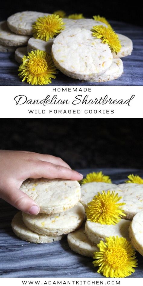 Dandelion Cookies, Edible Flowers Recipes, Resepi Biskut, Wild Food Foraging, Shortbread Recipe, Foraging Recipes, Foraged Food, Make Cookies, Shortbread Recipes