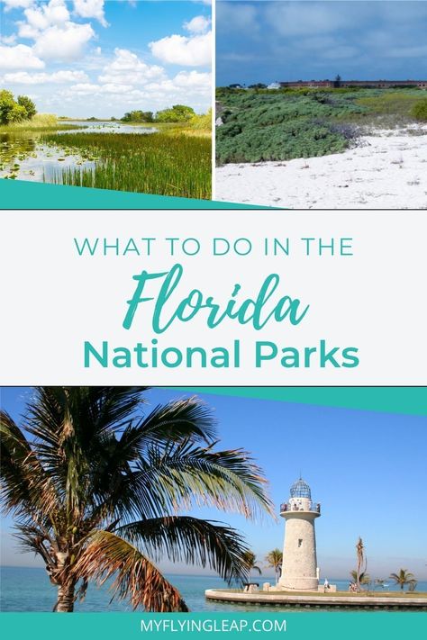 Make the National Parks of Florida your next destination with this ultimate destination guide! Florida's national parks are a must-see! List Of National Parks, Matt Dixon, Florida National Parks, Travel Local, Biscayne National Park, Backpacking Guide, Travel Florida, Dry Tortugas National Park, Dry Tortugas