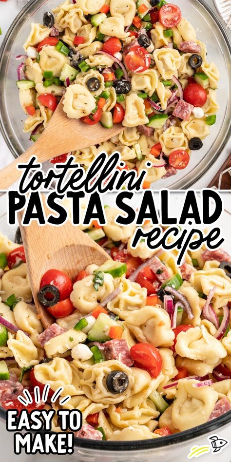 Cold Deli Salads, Tortilini Pasta Salads, Tortalini Pasta Salads, Tortellini Recipes Salad, Easy Tortellini Pasta Salad, Salad Bar Ideas, Italian Pasta Salad Recipes, Best Pasta Salad Recipe, Tri Color Pasta Salad