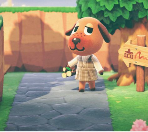 Acnh Aesthetic Villagers, Bea Animal Crossing, Acnh Fauna, Acnh Villagers, Cottagecore Animal Crossing, Cozy Games, Acnh Ideas, Animal Crossing Villagers, On Safari