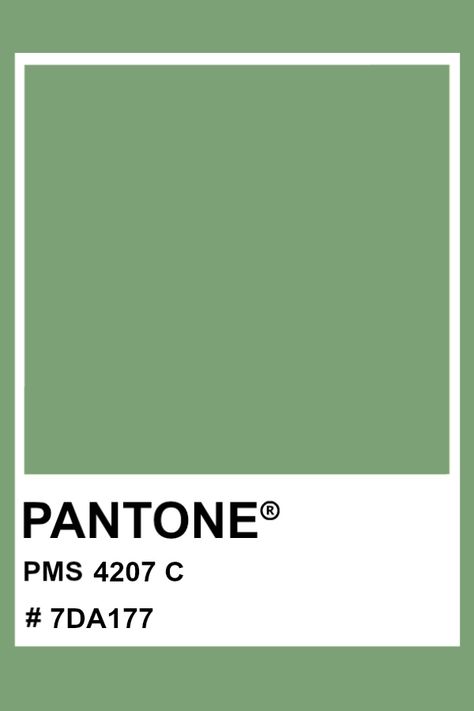 PANTONE 4207 C #pantone #color #PMS #hex Rhino Render, Pantone Green, Pantone Matching System, Pantone Color Chart, Color Knowledge, Pantone Colour Palettes, Houses Ideas, Color Interior, Color Chip