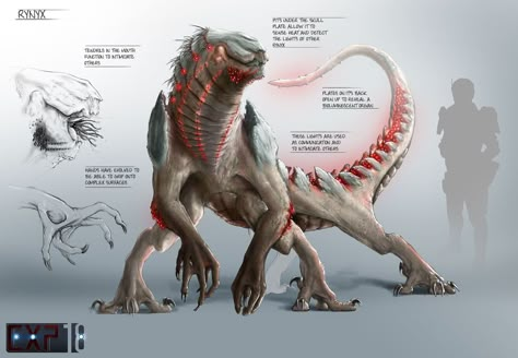 Rynyx Creature Concept Sheet by Eric Franer.  #digitalart #CG #art #illustration #artwork #concept #artist #digital #inspiration  #3D #2D Concept Sheet, Creature Ideas, Beast Creature, Alien Design, Alien Concept, Fantasy Beasts, Fantasy Animals, Alien Concept Art, Creature Drawings