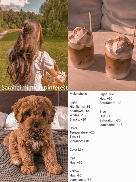 Wes Anderson Filter, Wes Anderson Preset, Wes Anderson Lightroom, Fall Lightroom Presets, Autumn Lightroom Presets, Vintage Photo Editing, Photography Tips Iphone, Lightroom Editing Tutorials, Lightroom Presets Tutorial