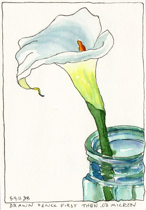 Calla Lilly 1, Ink and watercolor Jana Bouc Cat Air, Ink And Watercolor, Seni Cat Air, Watercolor Flower Art, 수채화 그림, Pen And Watercolor, Watercolor Sketch, Watercolor Inspiration, Watercolor Cards