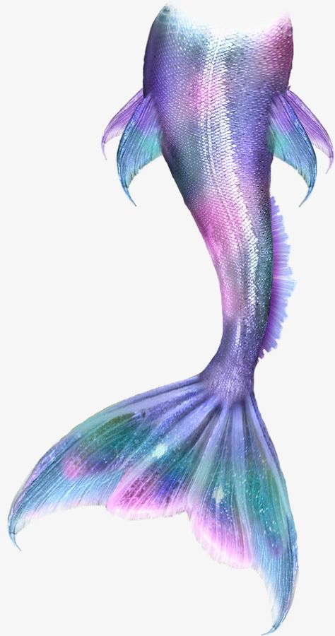 Mermaid Tail Drawing, Png Outfits, Realistic Mermaid, Mermaid Tails For Kids, Life Edit, Mermaid Images, Mermaid Artwork, Stitch Stuff, Mermaid Wallpapers