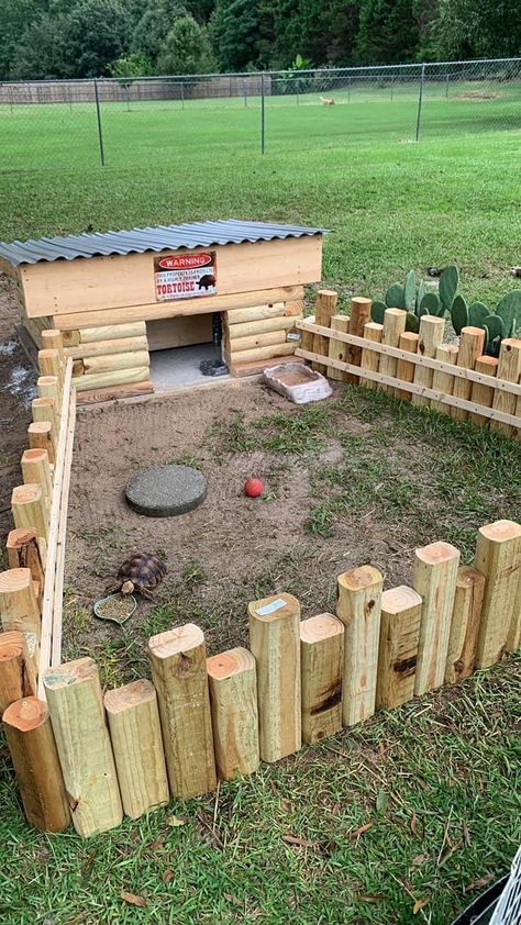 Homemade Tortoise Enclosure, Desert Tortoise Habitat Outdoor, Tartaruga Habitat, Crush Ideas, Turtle Cage, Outdoor Tortoise Enclosure, Turtle Enclosure, Turtle House, Turtle Terrarium