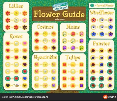 Animal Crossing Flowers, Animal Crossing Ideas, How To Make Purple, Flowers Guide, Pollinating Flowers, Lily Images, Tulips Images, Murs Roses, Flower Chart