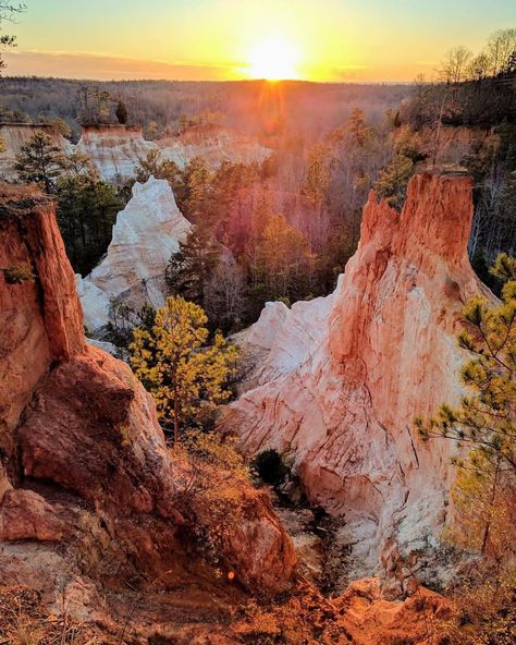 Cloud Land Canyon Georgia, Little Grand Canyon Georgia, Providence Canyon Georgia, Georgia Scenery, Georgia Landscape, Georgia Nature, Map Of Georgia, Providence Canyon, Georgia Vacation