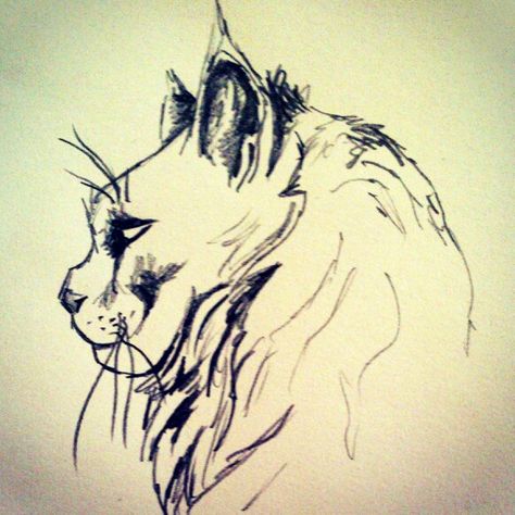 Mainecoon cat art Mainecoon Cat, Maine Coon, Cat Art, Small Tattoos, Maine, Humanoid Sketch, Tattoos, Art