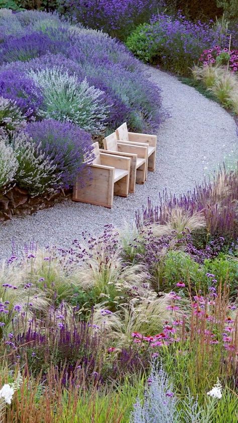 Terrace Plants, Lavender Inspiration, Moderne Have, Australian Garden Design, Mediterranean Garden Design, Prairie Planting, Dutch Gardens, Prairie Garden, Planting Design