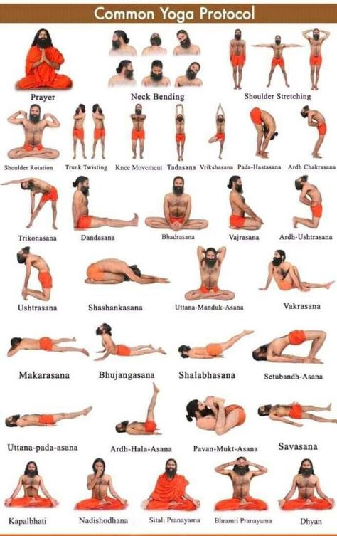 Common yoga poses. Ramdev Yoga, Healthy Makeup, Yoga Ashtanga, Yoga Nature, Yoga Facts, Yoga Poses Names, Latihan Yoga, Yoga Beginners, Health Workout