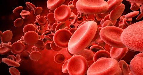 Why do we have different blood types? It seems that there was a distinct advantage in having differing blood groups across the human race, but to what purpose? Iron Deficiency, Red Blood, Red Blood Cells, Blood Type, Blood Cells, Blood Test, Neurology, Brain Health, Blood Sugar