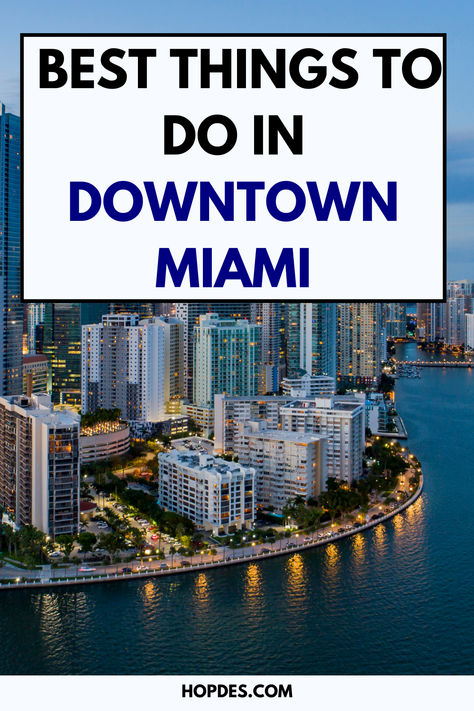 Here is a rundown of the best things to do in Downtown Miami, Florida so that you can experience the real Magic City. Miami Downtown, Real Magic, Downtown Miami, Magic City, High Rise Building, Miami Florida, Travel Dreams, No Way, Palm Tree