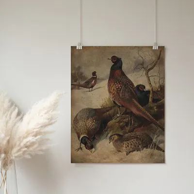 A SEASONAL SPREAD | Shop Sales Events Antique Farmhouse Vintage Hunting Lodge Decor, Pheasant Artwork, Pheasant Decor, Hunting Decor Living Room, Pheasant Art, Vintage Fall Decor, American Farmhouse Style, Flea Market Decorating, Art Investment