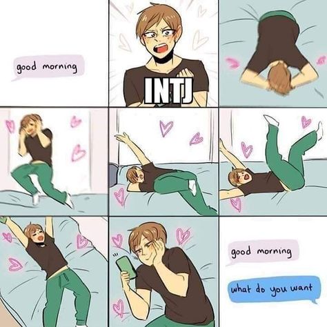 #intj #mbtimemes #mbti #comic #enfp Infj And Entp, Entp And Intj, Intj Humor, Intj Enfp, Entp Personality Type, Intj Women, Crush Texts, Enfp Personality, Intj T