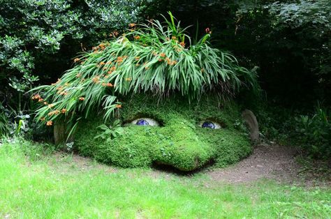 Ancient England, Things To Do In Cornwall, Spa Store, Lost Gardens Of Heligan, Creative Garden Decor, Lost Garden, Small Fountains, Garden Solutions, Woodland Garden