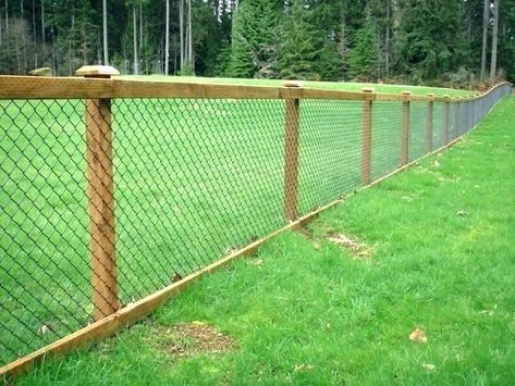 DIY Dog Fence Ideas and Installation Tips: 6 Best Cheap Designs Repurpose Chain Link Fence, Hog Wire Fence, Diy Dog Fence, Pagar Modern, Fence Options, Backyard Dreams, Coop Ideas, Living Fence, Backyard Privacy