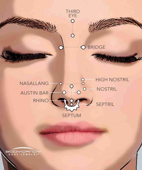 There are many different ways to pierce the nose - check them all out at once in this helpful little guide. Piercing Diagram, Piercing Facial, Piercing Face, Piercing Eyebrow, Double Nose Piercing, Cute Nose Piercings, Ear Piercings Chart, Piercing Chart, Piercing Conch