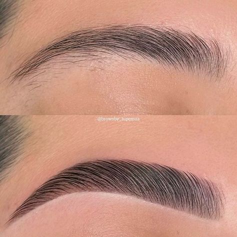 Eyebrows Getting Done, Done Eyebrows, Natural Brow Lamination And Tint, Soft Arch Brows, Laminated Eyebrows Before And After, Laminated Brows Before And After, 2024 Eyebrows, Laminate Eyebrows, Lamination Eyebrows