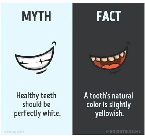 Haha teeth whitening commercials Interesting Facts About Humans, Body Facts, Human Body Facts, Facts About Humans, Dental Facts, Brain Facts, Unique Facts, True Interesting Facts, Interesting Facts About World