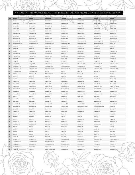 Read the Bible in Order from Genesis to Revelation. Read the Bible in a year. Bible in 1 year.  365 days Bible Reading Plan. 52 weeks Bible Reading Plan. 365 Days Bible Reading Plan, 1 Year Bible Study Plan, 365 Day Chronological Bible Reading Plan, 365 Day Bible Reading Plan, 52 Week Bible Reading Plan, 365 Bible Reading Plan, Bible In A Year Plan, Bible In Order, Bible Plans