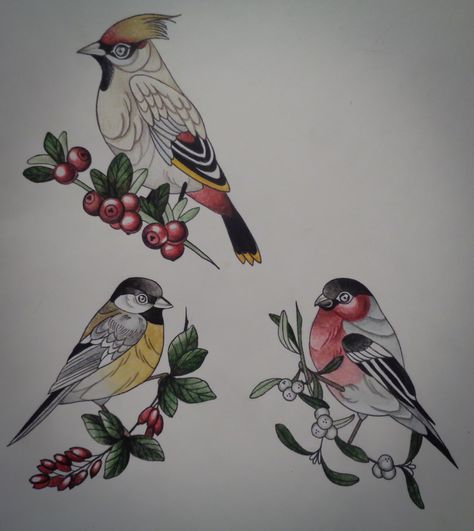 Birds illustration: waxwing, bullfinch, tomtit Bullfinch Tattoo, Birds Illustration, Body Decor, Bullfinch, Bird Illustration, Animal Tattoos, Winter Holiday, Birdy, Traditional Tattoo