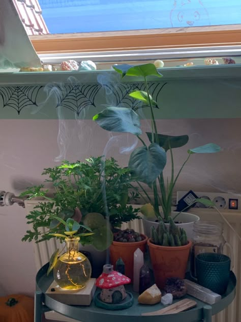 Earth Room Ideas, Apartment Plants Aesthetic, Bedroom With Lots Of Plants, Bedroom With Plants Aesthetic, Plant Witch Aesthetic, Apt Bedroom Ideas, Small Room Ideas Aesthetic, Zen Apartment Decor, Plant Bedroom Aesthetic