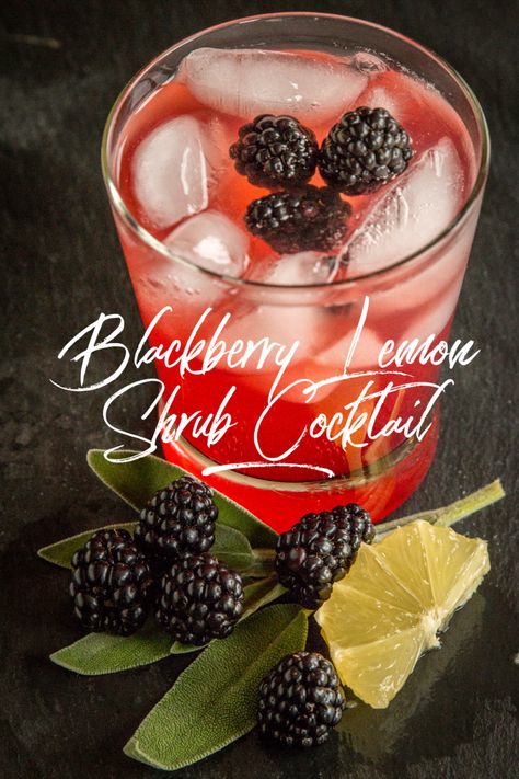 Blackberry Lemon Shrub Cocktail | Four Kids and a Chicken Lemon Shrub Recipe, Shrub Drink, Shrub Recipe, Blackberry Lemon, Drinking Vinegar, Old Fashioned Drink, Recipe For Teens, Liquor Recipes, Homemade Soda