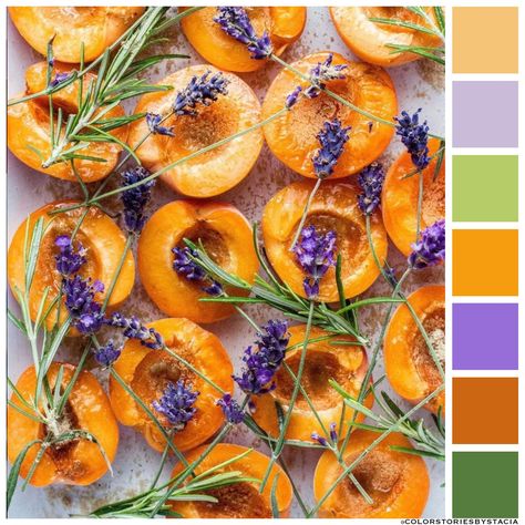 Apricot, Lavender + Rosemary 🍑💜🌱⁠ 📷:@lindsaysfeast via @pineapplecollaborative Lavender Green Orange Color Palette, Green And Purple Palette, Apricot Color Palette, Apricot Crush Color, Lavender Color Palette, Apricot Crush, Color Of The Year 2024, Orange Palette, Purple Nursery