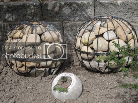 Bonney Lassie: DIY Gabion Globes for $20 Garden Orbs Yard Art, Gabion Baskets Garden, Gabion Planter Ideas, Gabion Plant Stand, Diy Gabion Cage, Garden Globes Diy, Gabion Garden Ideas, Gabion Planters, Diy Gabion