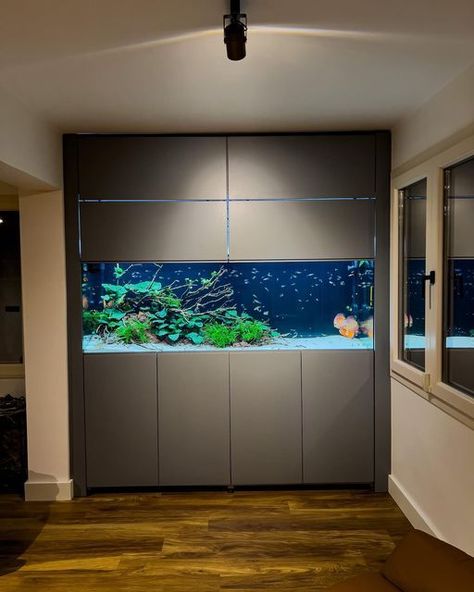 Modern Aquarium Designs to Elevate Your Living Room

Looking for **small studio apartment ideas**? Enhance your **home décor** with stylish aquarium setups that bring a **warm home aesthetic** and elevate your **living room decoration**. #ApartmentDecor #AquariumInspiration Living Room With Fish Tank, Room With Fish Tank, Modern Fish Tank, Modern Aquarium, Fish Tank Cabinets, Warm Home Aesthetic, Aquarium Architecture, Custom Aquarium, Wall Aquarium