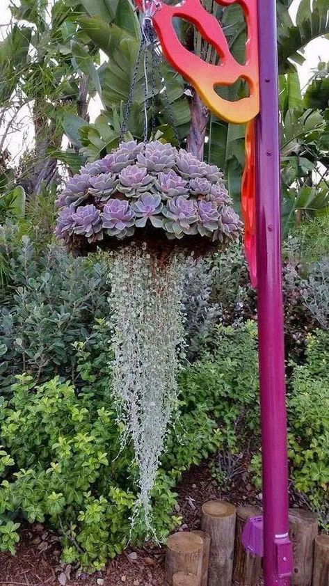 Hanging Plants On Fence, Pot Gantung, Vertical Vegetable Gardens, Basket Diy, Flowers Hanging, نباتات منزلية, Pot Design, Hanging Succulents, Vertical Gardens