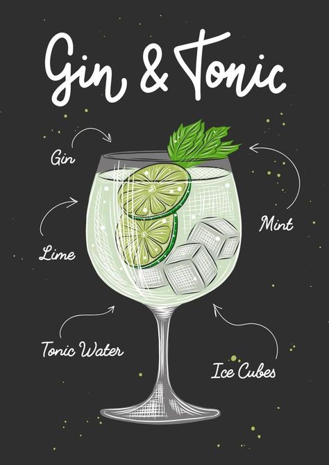 Gin Tonic Decoration, Cocktail Vector Illustrations, Gin And Tonic Illustration, Gin And Tonic Poster, Gin Tonic Illustration, Cocktail Art Illustration, Beverage Drawing, Cocktail Sketch, Gin Illustration