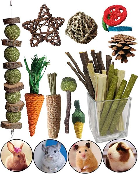 Pet Lover's Bundle - Bunny, Hamster, and Guinea Pig Toys, Chew Toys and Accessories for Rabbits, Rats, Chinchillas and More : Amazon.ca: Pet Supplies Rabbit Essentials, Rabbit Chew Toys, Bunny Supplies, Chinchilla Toys, Guinea Pig (toy), Pig Toys, Rat Toys, Hamster Toys, Animal Supplies