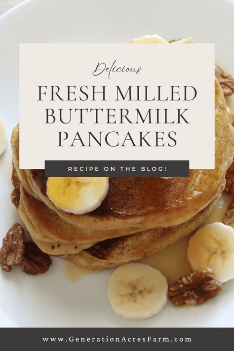 The most delicious freshly milled pancakes Ancient Grains Recipes, Fresh Milled Flour, Freeze Pancakes, Delicious Pancakes, Whole Wheat Pancakes, Wheat Pancakes, No Flour Pancakes, Pancake Recipe Buttermilk, Wheat Recipes