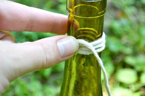 DIY Wine and beer bottle hanging plant holder – SheKnows Hanging Plant Holders, Bottle Hanging, Plants In Bottles, Hanging Plant Holder, Beer Bottles, Hanging Plant, Diy Wine, Empty Bottles, Easy Craft